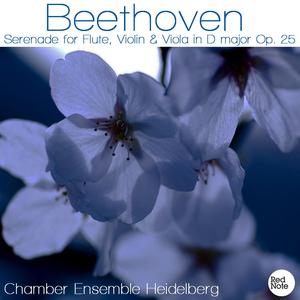 Serenade for Flute, Violin & Viola in D Major, Op.25: I. Allegro