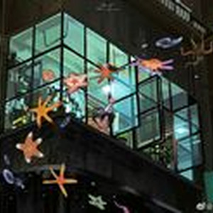 framely solaceflow