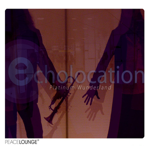 Exotica (Echolocation Mix)