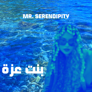 MR. SERENDIPITY