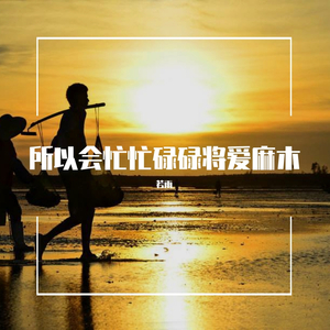 爱的麻木