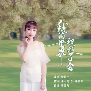 我的世界飘起了雪