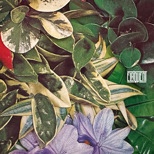 Coisa 8