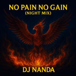 NO PAIN NO GAIN (Night Mix)