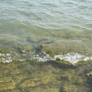 “我不是忘不掉你”