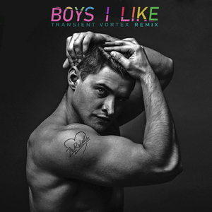 Boys I Like (Transient Vortex Remix)