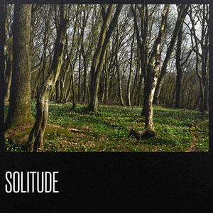 Solitude