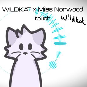 touch (feat. Miles Norwood)