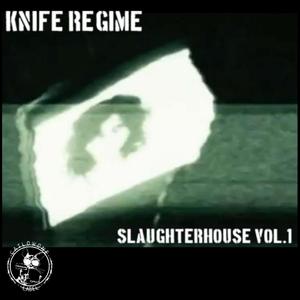 Захват, подчинение, контроль