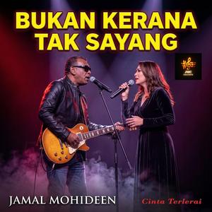 Cinta Terlerai