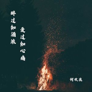 醉过知酒浓 爱过知心痛