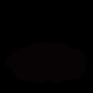 耍boombap（prod by船长）