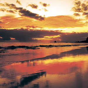 You Will Be with Me Dancing Tonight