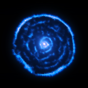 the blossoms close at sunset