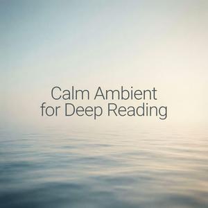 Calm Horizon Reading Ambient Texture