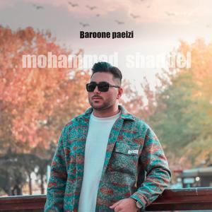 Baroone Paeizi