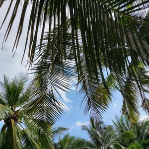 旧故里草木深（放松纯音乐）