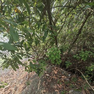 《最痛时候》中文