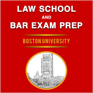 Incidental Damages / Bicameral / Third Amendment