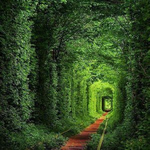 钢铁是怎样炼成的