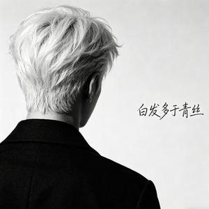 白发多于青丝