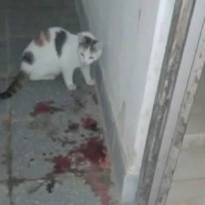 死去了谁在乎 prod.grayskies