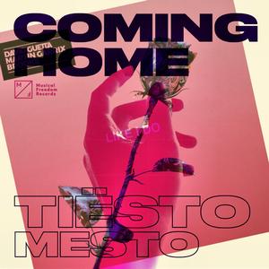 Tiësto / David Guetta-Coming Home V.S. Like I Do （Mashup By H3nry）（H3nry remix）