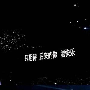 不要回来了—不予理解（翻自 Kc）