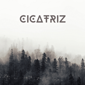 Cicatriz