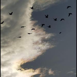 春娇与志明（鼓咚 Dj）