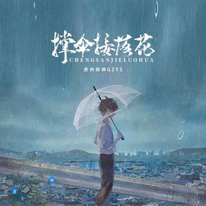 撑伞接落花·2024