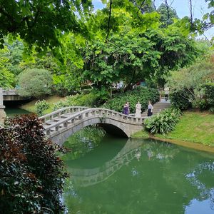 李绍虎 - 梵心