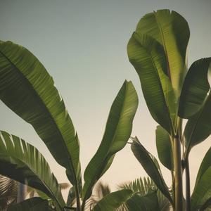 Бананчики by @xozade_he