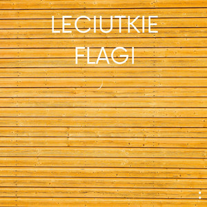 Leciutkie Flagi