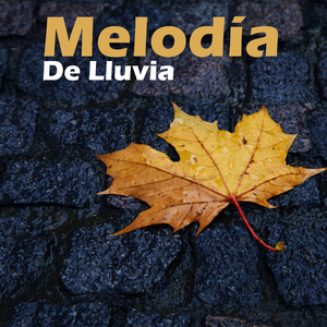 Melodía De Lluvia