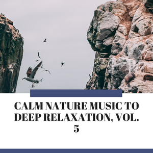 Calm Rain Sound at Night