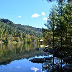 千里之外的思念