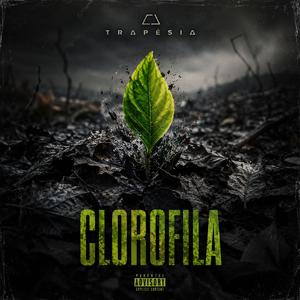 Clorofila