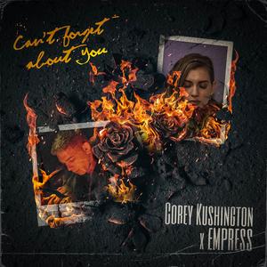 Can't Forget About You