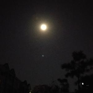 江上明月升（大）wav