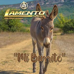 Mi Burrito