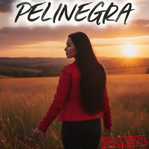 Pelinegra