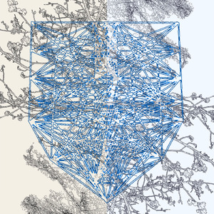 喜びと悲しみのチョコミント