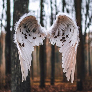 夕日 (Soothing music 2025)