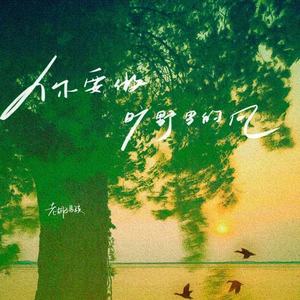 你要做旷野里的风