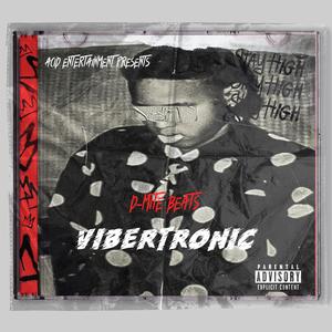 NJNP (No Justice No Peace) (Radio Edit)