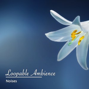 Wondering Heart Beat