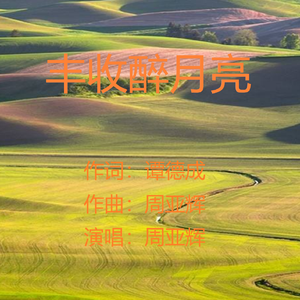 丰收醉月亮