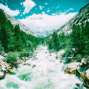 Gentle Storm Travels