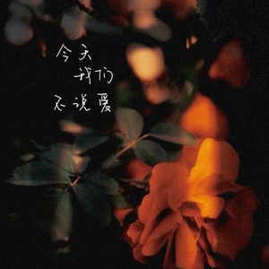 今天我们不说爱